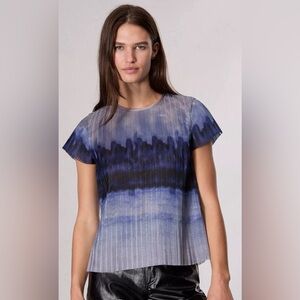 Rag & Bone Hailey Ombre Organza Top